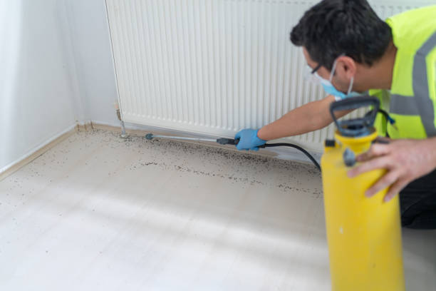 Professional Pest Control in Coral Terrace, FL